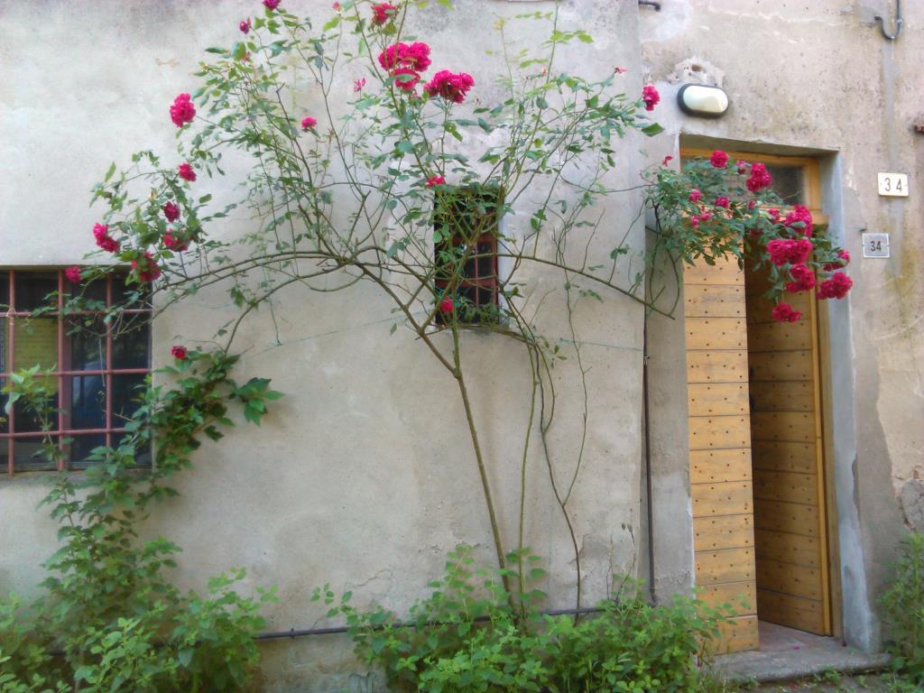 immagine annuncio 4 di 7