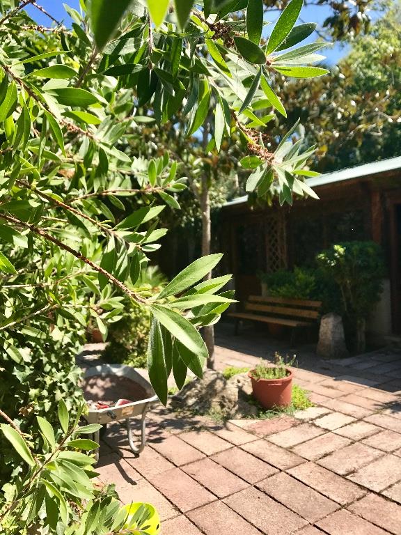 immagine annuncio 2 di 7