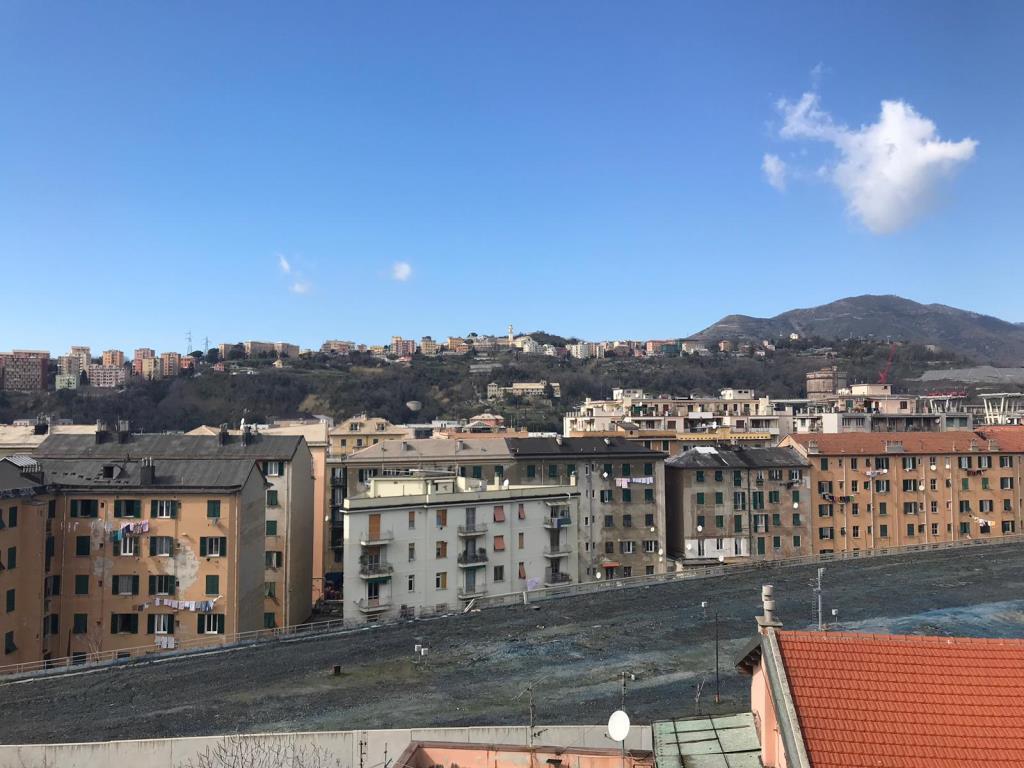immagine annuncio 4 di 7