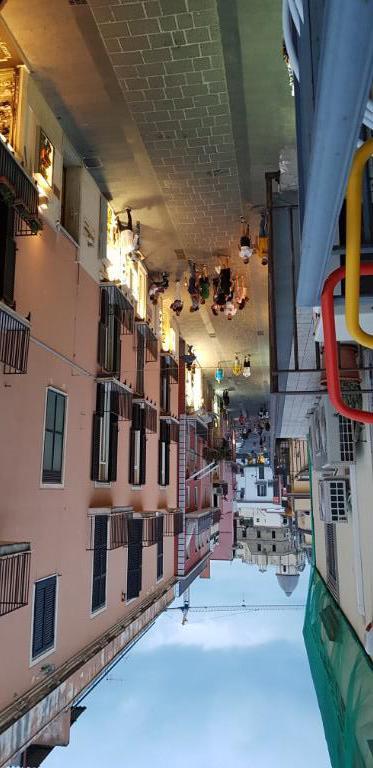 immagine annuncio 4 di 6