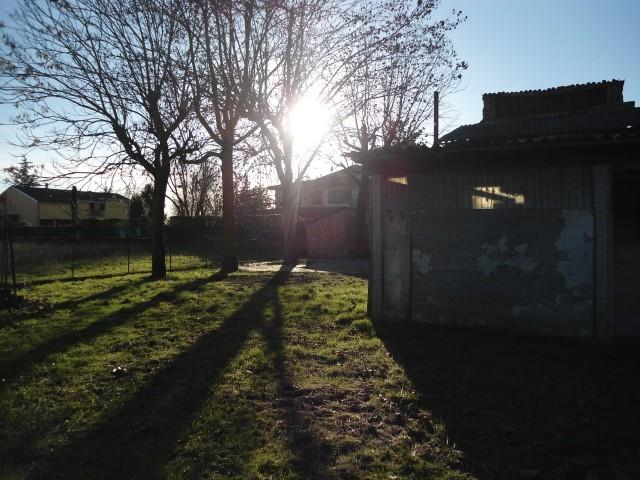 immagine annuncio 1 di 6