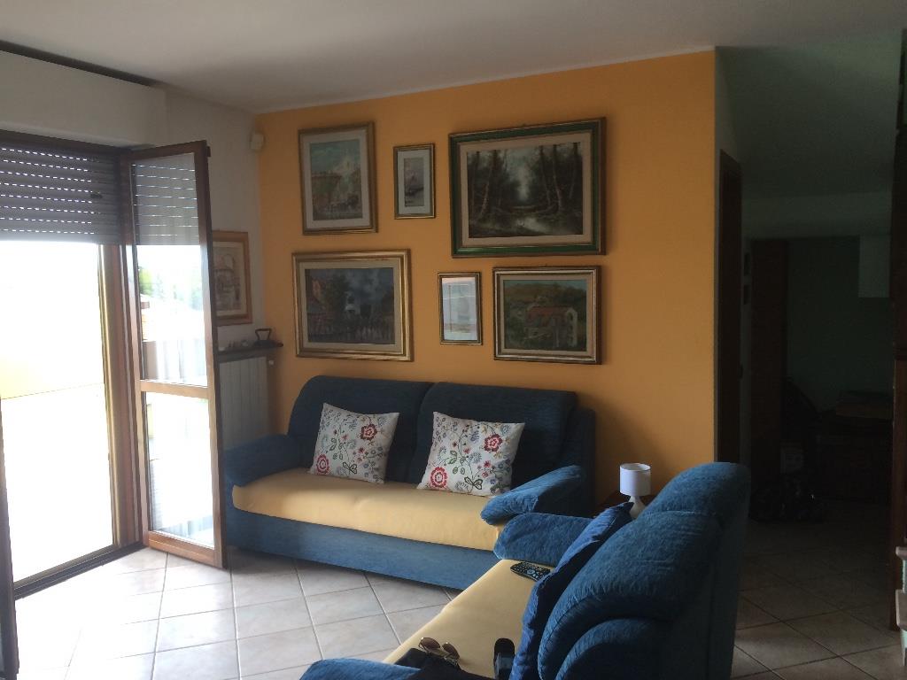 immagine annuncio 5 di 7