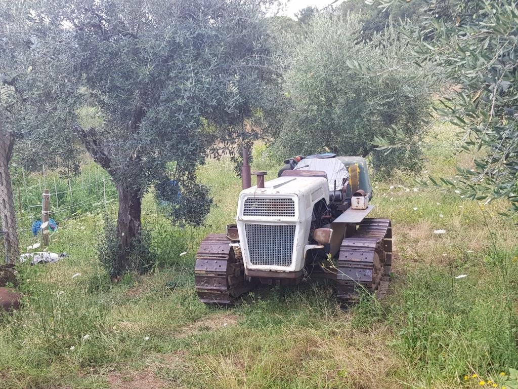 immagine annuncio 4 di 7