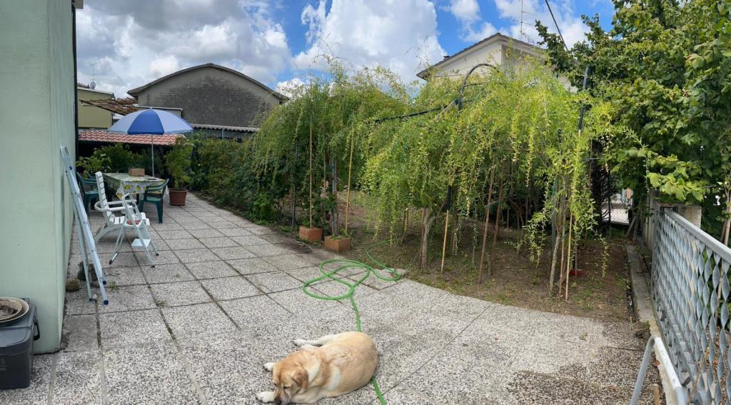 immagine annuncio 2 di 7