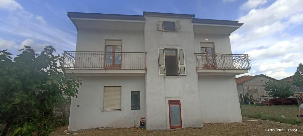 immagine annuncio 1 di 7