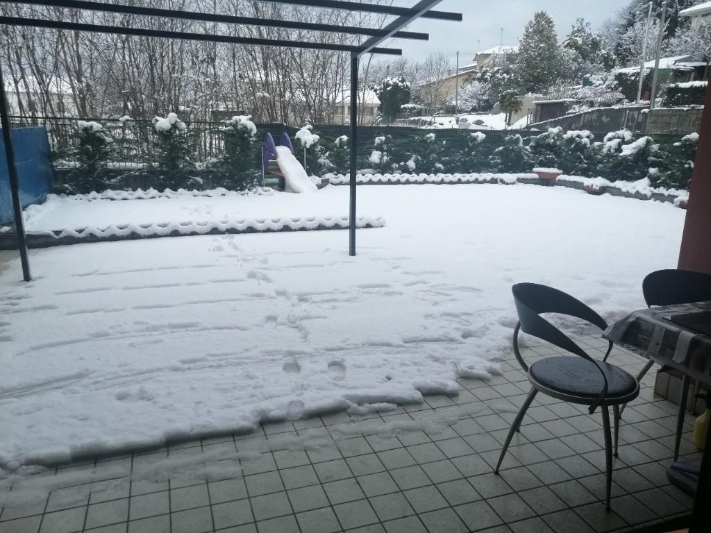 immagine annuncio 1 di 7