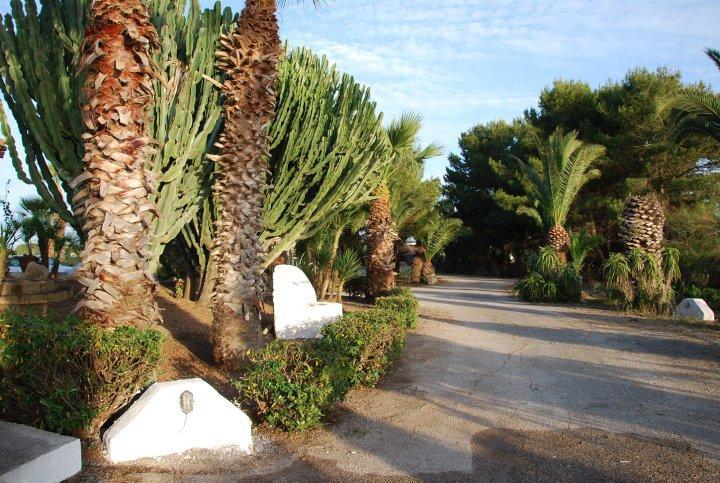 immagine annuncio 2 di 7