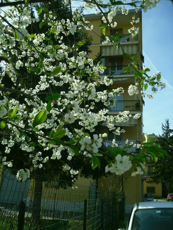 immagine annuncio 5 di 7