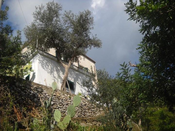 immagine annuncio 4 di 7
