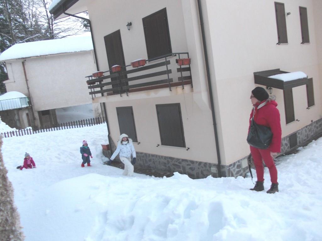 immagine annuncio 2 di 6