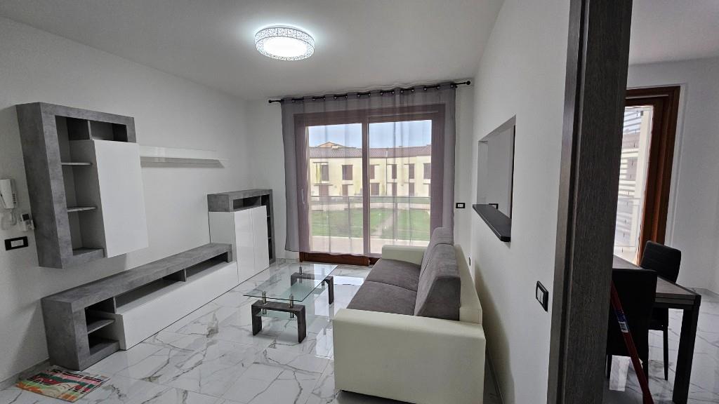 immagine annuncio 1 di 6