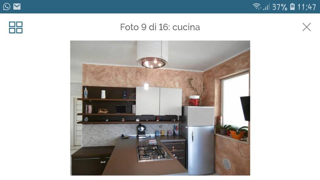 immagine annuncio 2 di 7