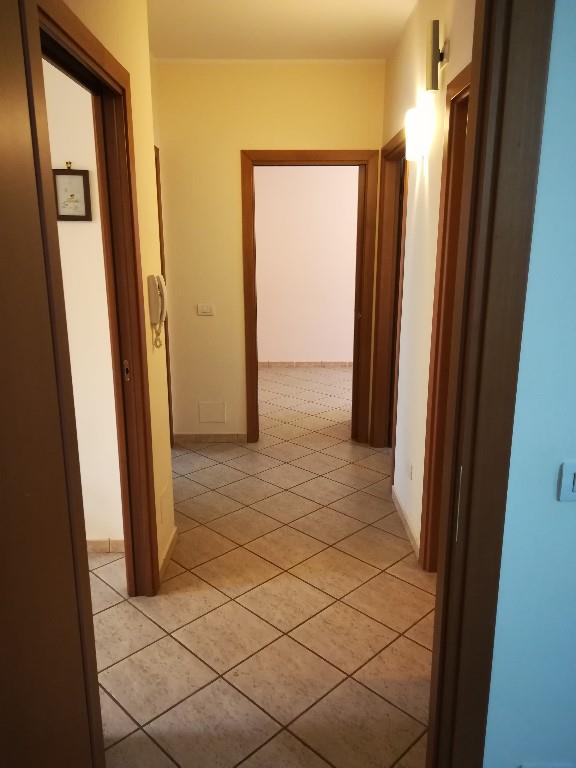 immagine annuncio 2 di 7