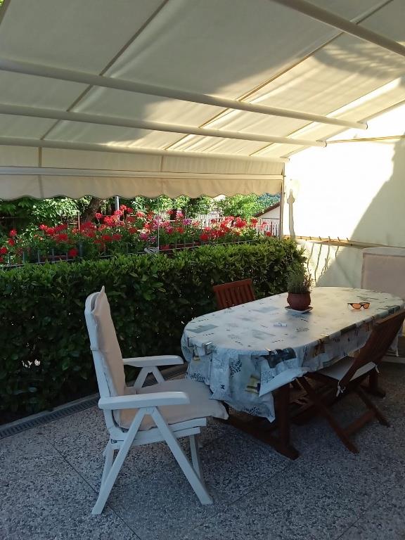 immagine annuncio 6 di 7