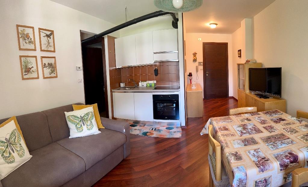 immagine annuncio 1 di 7