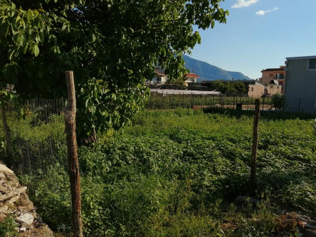 immagine annuncio 6 di 7
