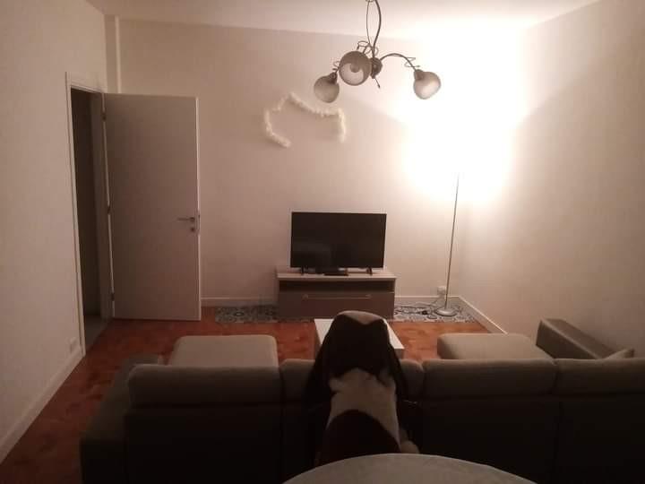 immagine annuncio 4 di 7