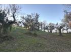 Foto - Altro in Vendita a Rosciano (Pescara)