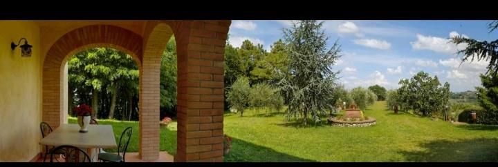 immagine annuncio 5 di 7