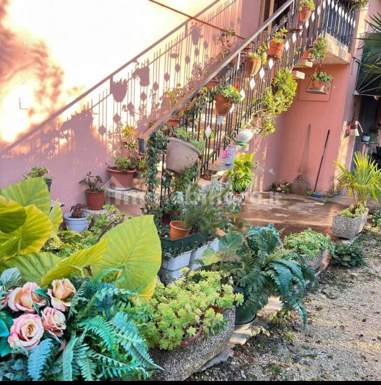 immagine annuncio 2 di 7