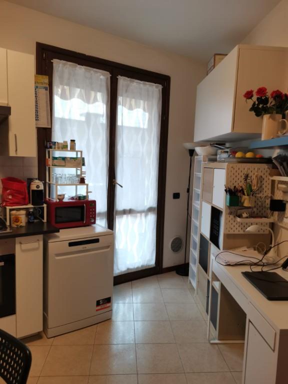 immagine annuncio 3 di 7