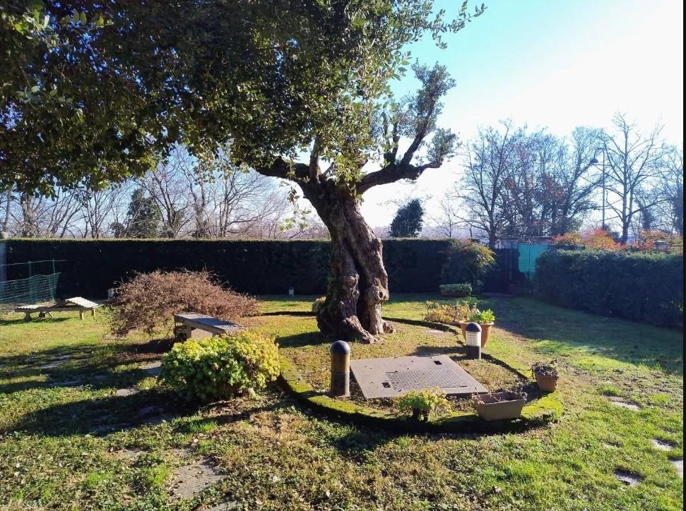 immagine annuncio 2 di 7