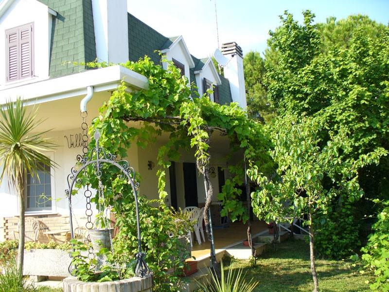 immagine annuncio 3 di 7