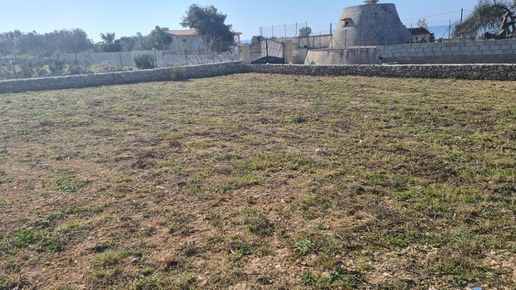 immagine annuncio 3 di 7