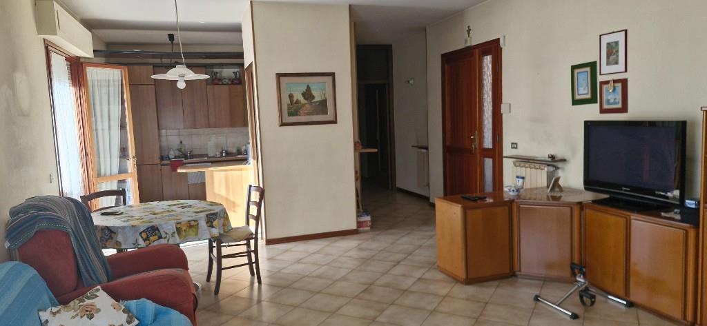 immagine annuncio 2 di 7