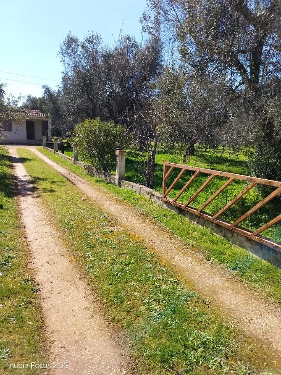 immagine annuncio 3 di 7