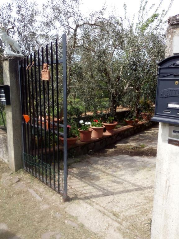 immagine annuncio 1 di 7