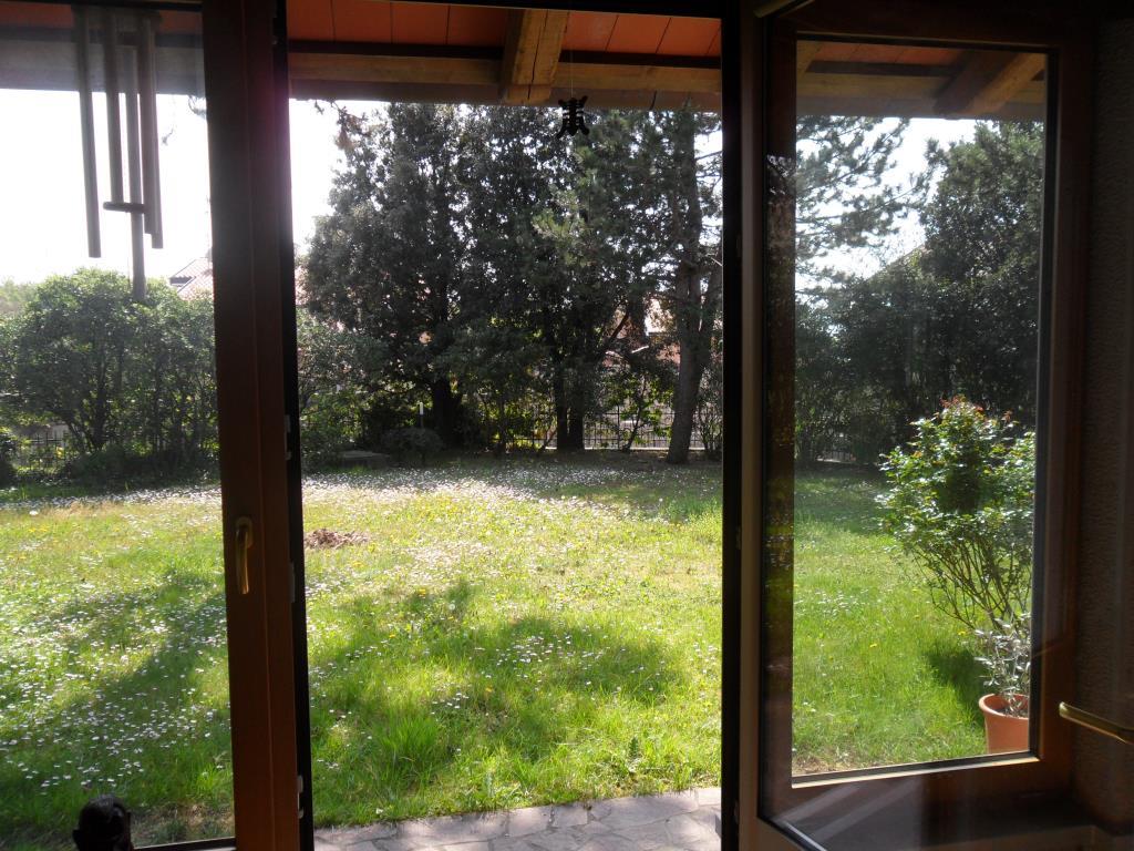 immagine annuncio 4 di 6