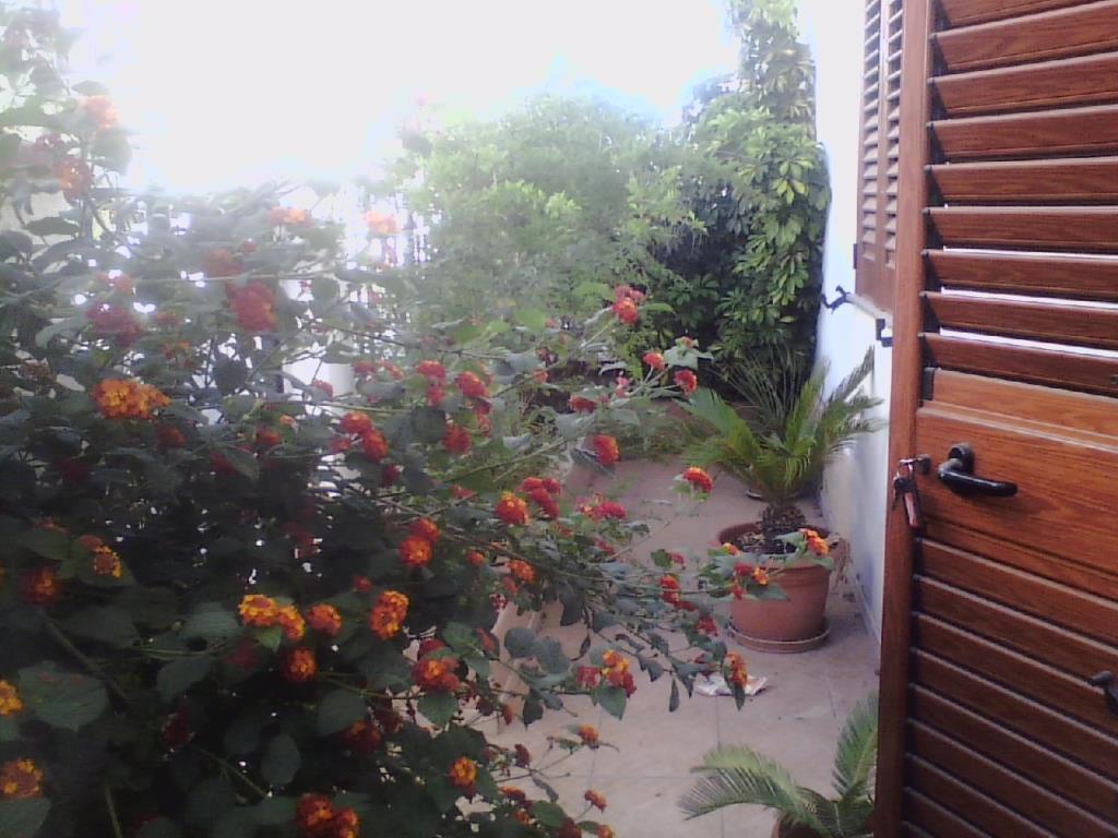 immagine annuncio 2 di 7