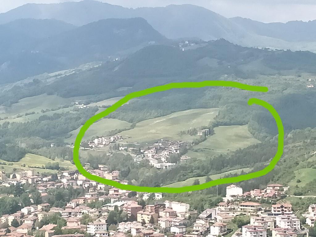 immagine annuncio 2 di 7