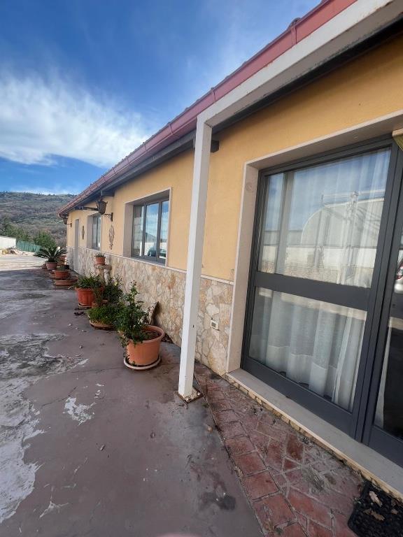 immagine annuncio 1 di 7