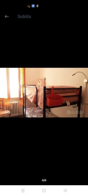 immagine annuncio 3 di 7