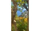 Foto - Appartamento in Affitto a Amalfi (Salerno)