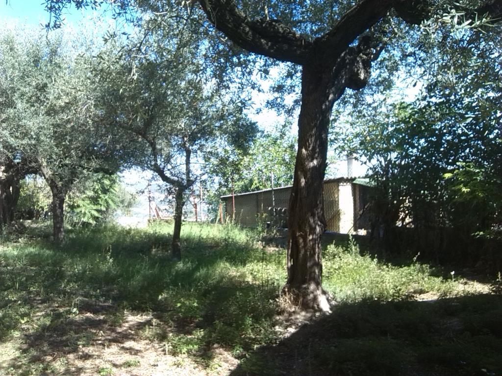 immagine annuncio 3 di 7
