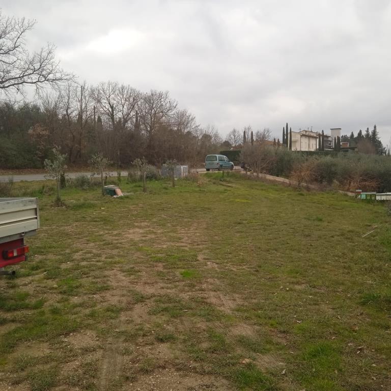 immagine annuncio 1 di 7
