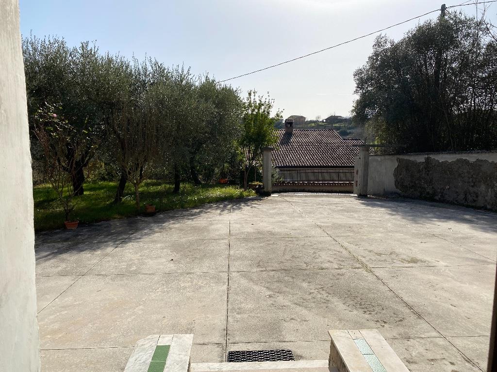 immagine annuncio 1 di 7