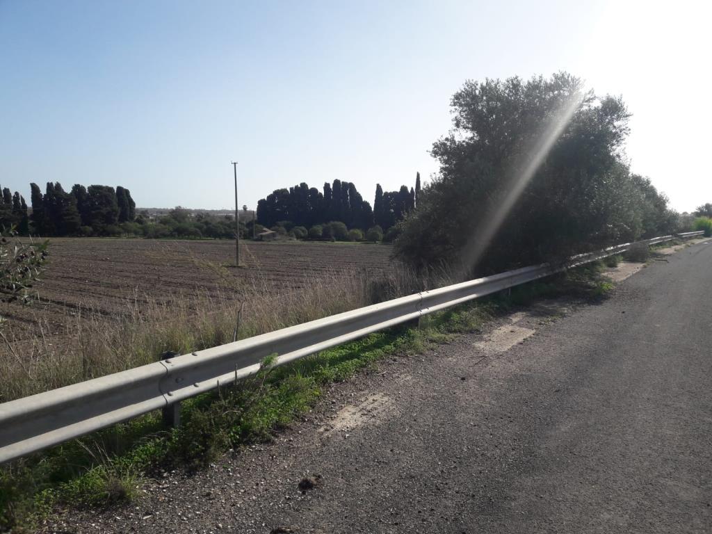 immagine annuncio 6 di 7