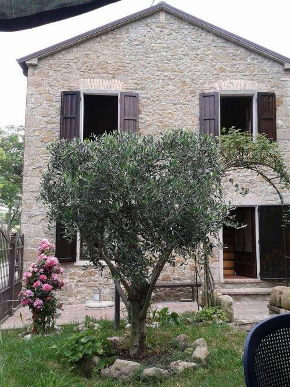 immagine annuncio 6 di 7
