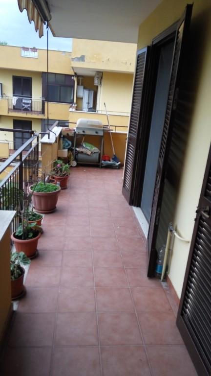 immagine annuncio 3 di 7