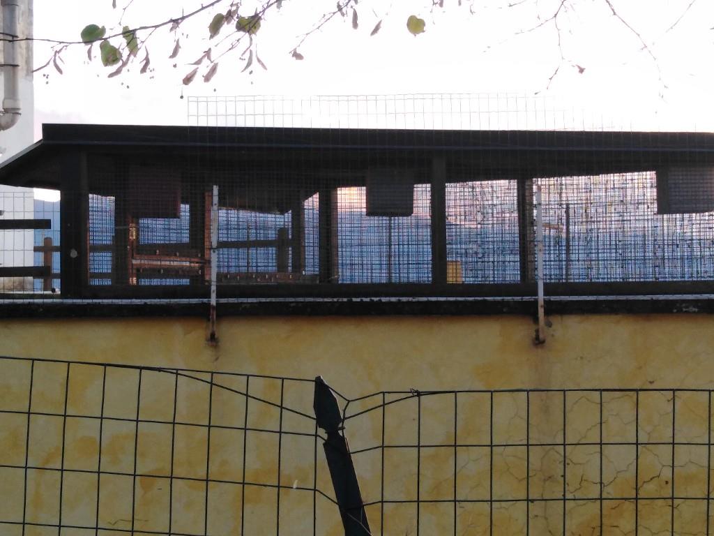 immagine annuncio 4 di 7