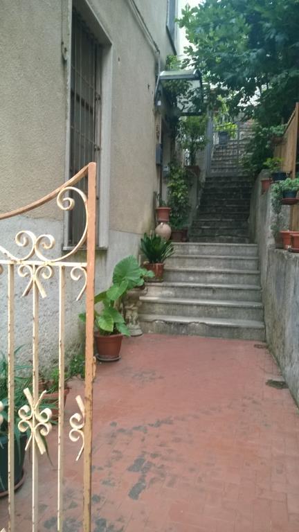 immagine annuncio 1 di 2