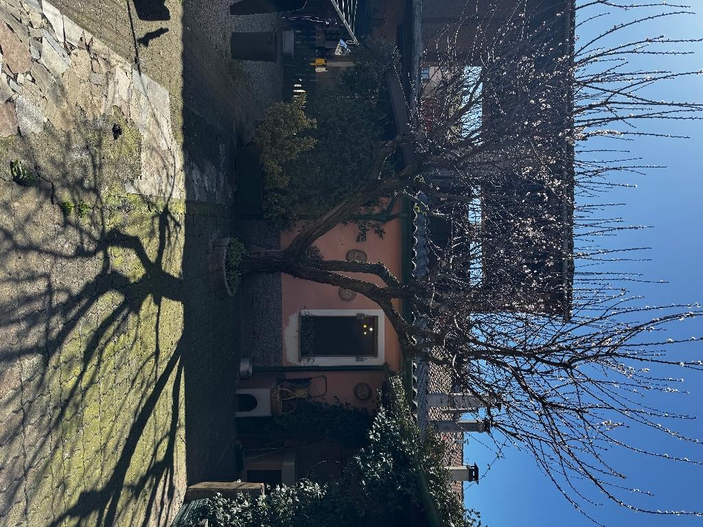immagine annuncio 3 di 7