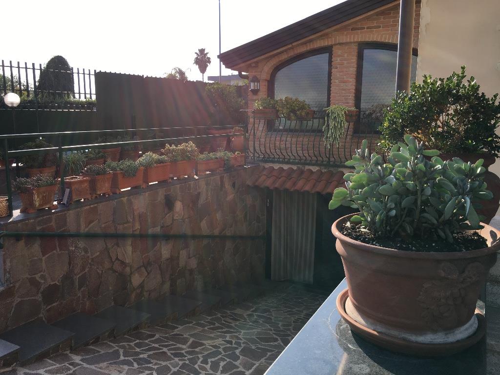 immagine annuncio 3 di 7