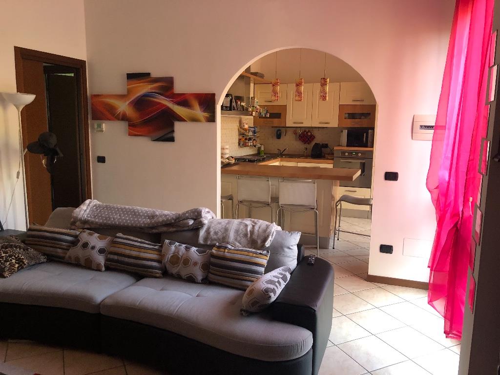 immagine annuncio 2 di 7