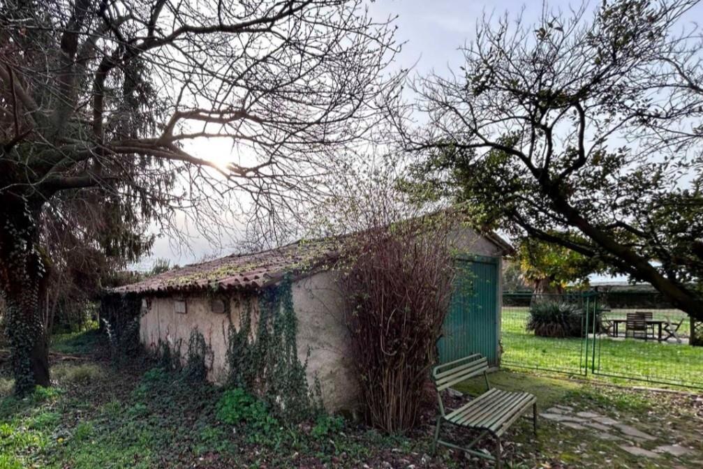 immagine annuncio 4 di 7