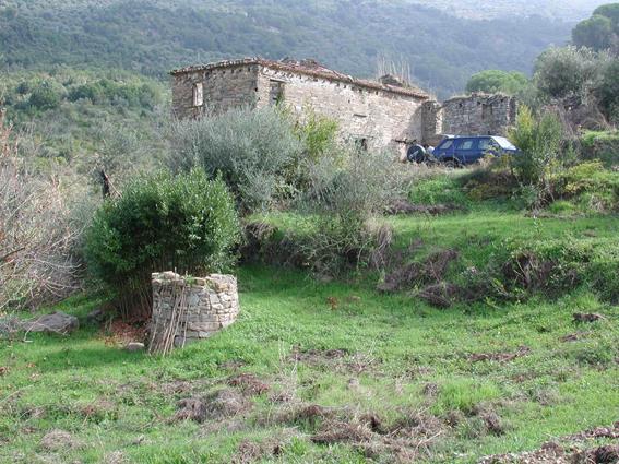 immagine annuncio 4 di 7